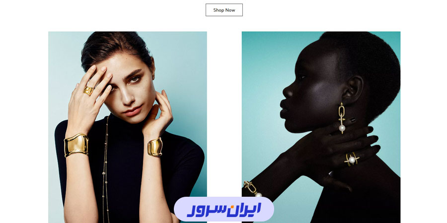 نمونه سایت های حرفه ای فروشگاهی