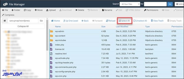 نصب وردپرس در سی پنل