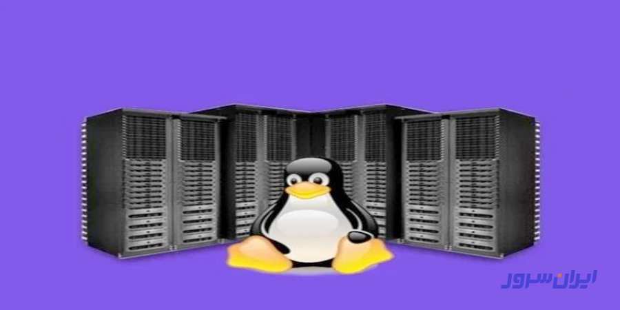 هاست لینوکس چیست