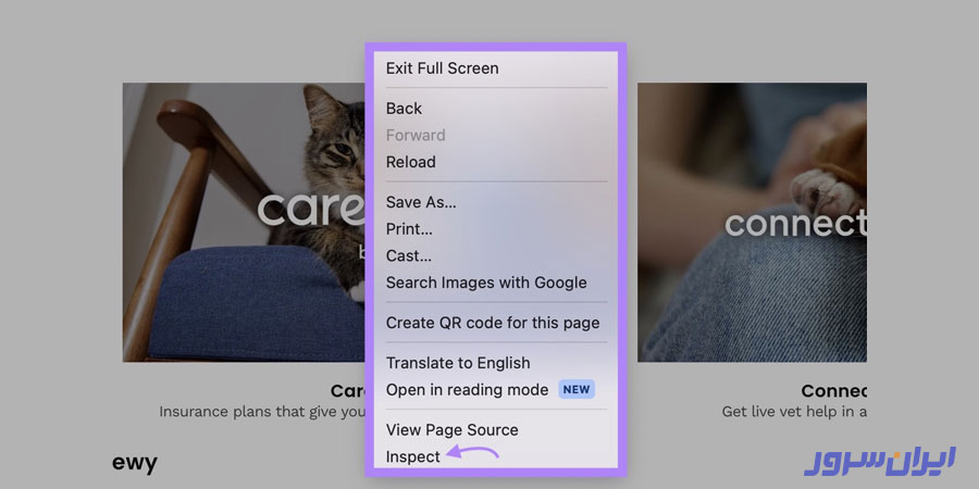 آموزش کامل بهبود شاخص INP